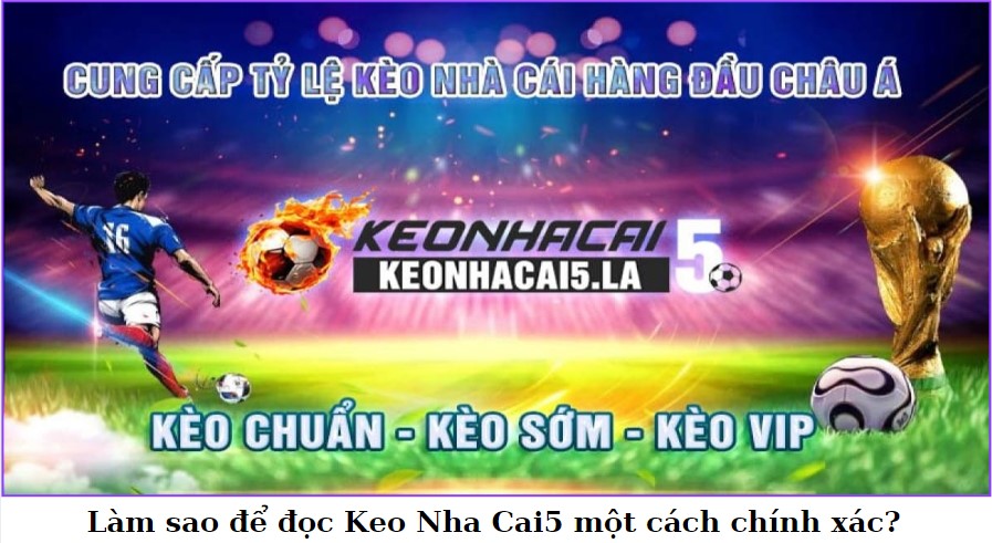 Keo Nha Cai5 Là Gì? Hiểu Rõ Về Tỷ Lệ Kèo Nhà Cái 