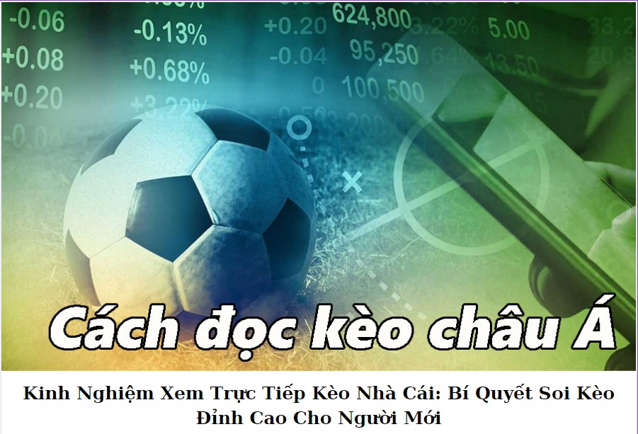 Trực tiếp kèo nhà cái là gì và làm thế nào để theo dõi hiệu quả?