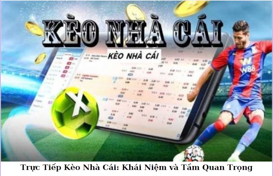 Làm thế nào để xem kèo nhà cái và đọc các loại kèo khác nhau? 